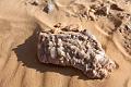 egypte desert libyque 23